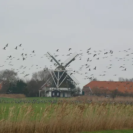 Seehund Apartamento Neuharlingersiel